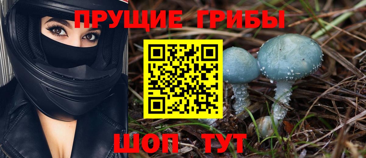 Галлюциногенные грибы MAGIC MUSHROOMS  Вход с VPN  где купить наркотик  Чапаевск 